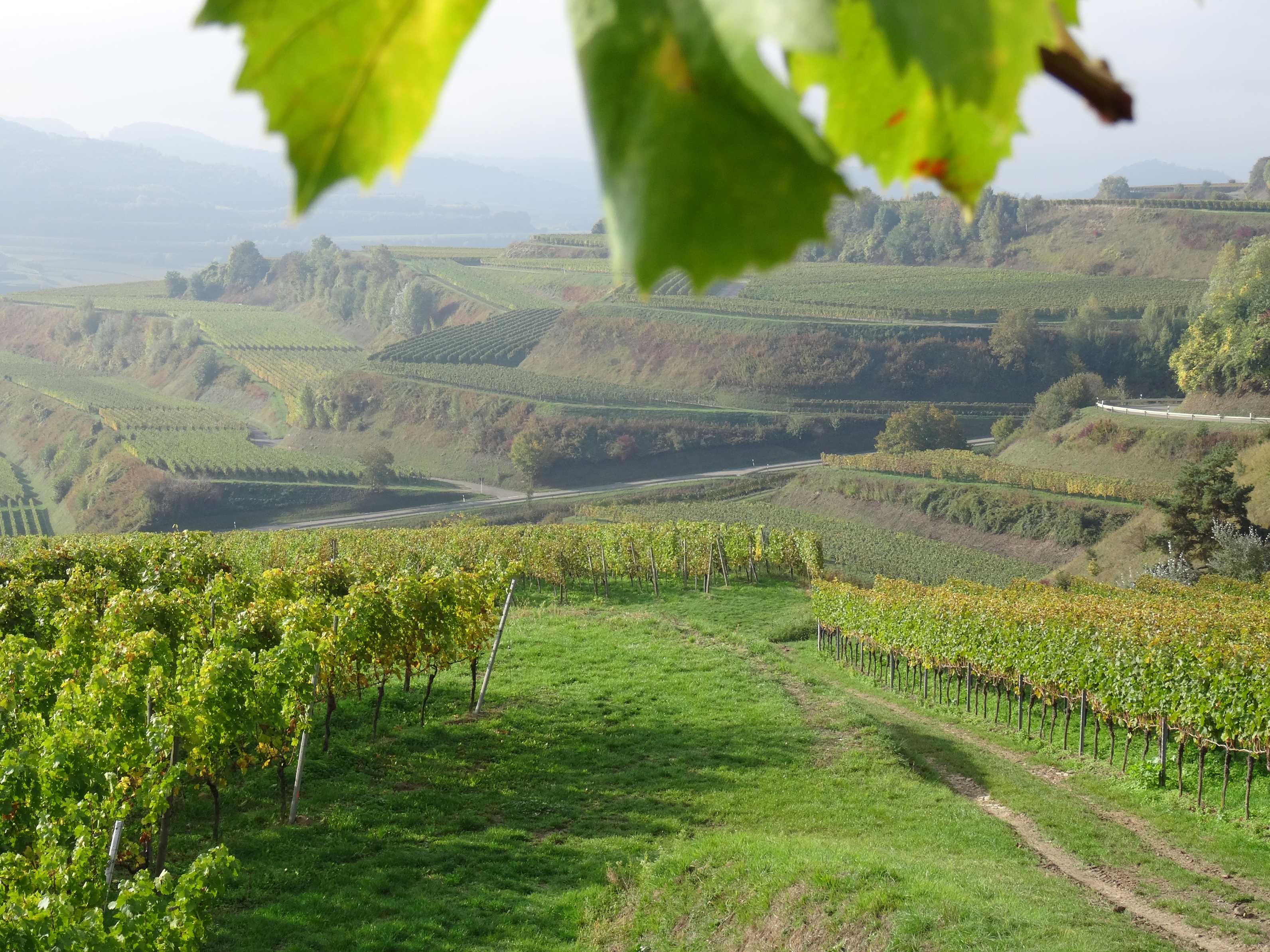 Udsigt over vulkanskrænter